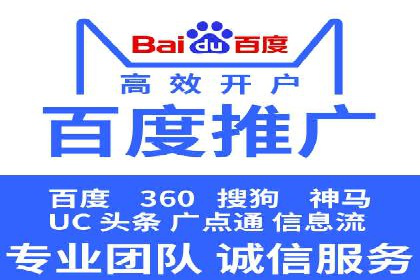 某企业通过SEM实现品牌与销售双增长的案例